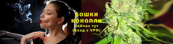 2c-b Осинники