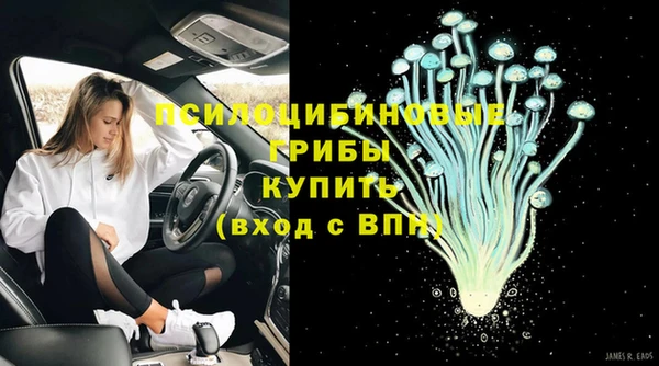 2c-b Осинники