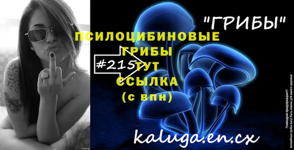 мяу мяу мука Остров
