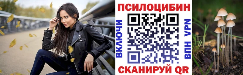 Галлюциногенные грибы Psilocybine cubensis  Новотроицк 