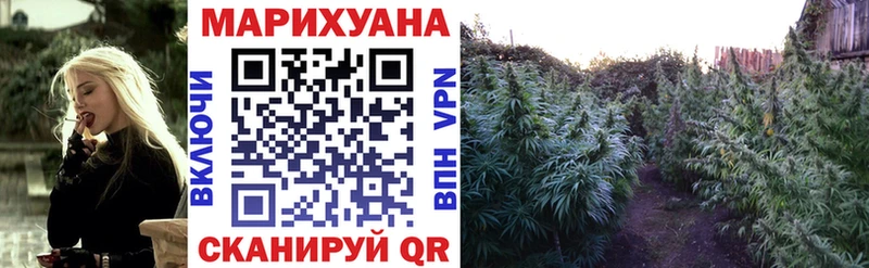 где можно купить наркотик  Новотроицк  Бошки марихуана VHQ 